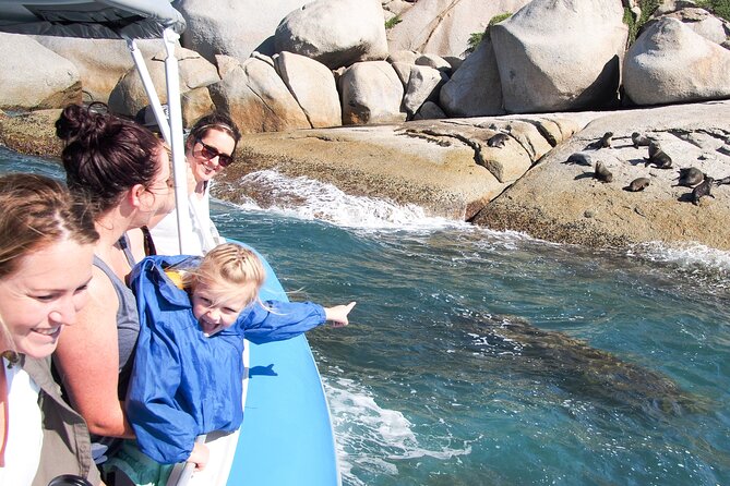 Southern Ocean Adventure From Victor Harbor - Background