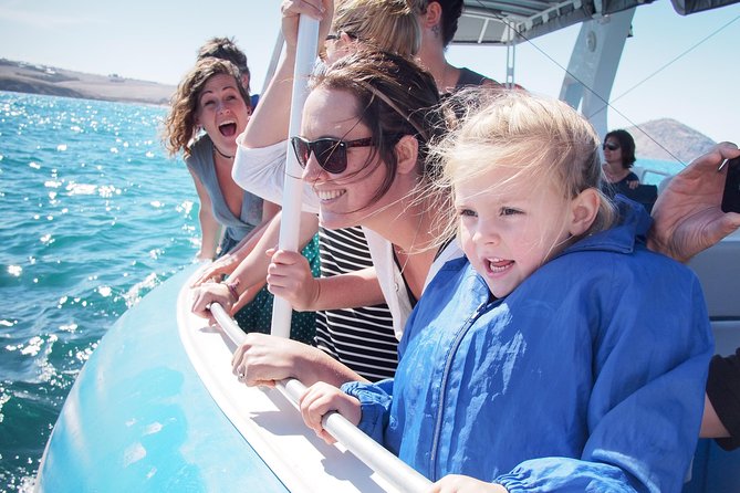 Southern Ocean Adventure From Victor Harbor - Safety Guidelines