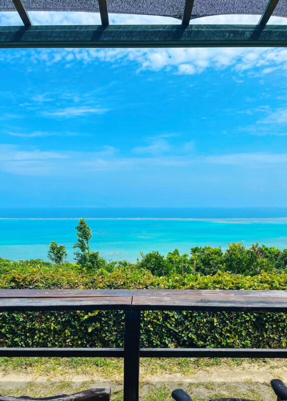 Southern Okinawa One-Day Tour: Cape Chinen & Okinawa - Lunch at Itoman’s fish market