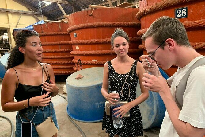 Southern Phu Quoc Scenic Land Tour with Lunch - The Sum Up: Who Should Consider This Tour?