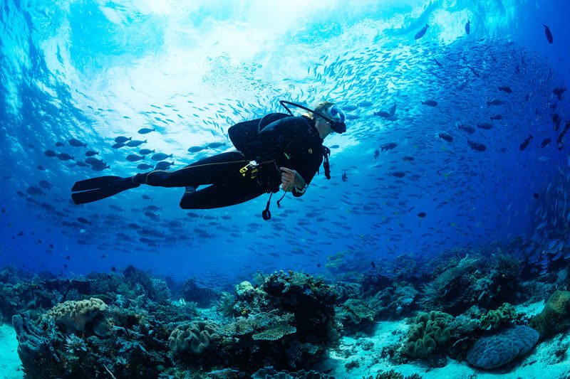 Southern Phu Quoc Scuba Diving Experience - From Duong Dong to An Thoi Harbor