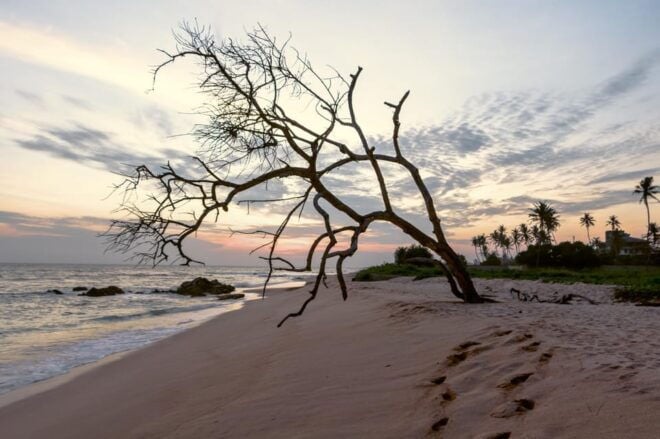 Southern Sri Lanka Beach Tour - Photography Services