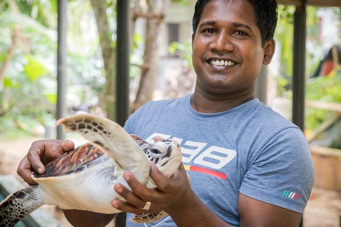 Southern Sri Lanka Sightseeing Day Trip From Colombo & Negombo - Overview of Southern Sri Lanka Sightseeing Day Trip