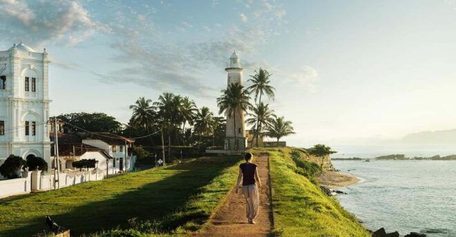 Southern Sri Lanka: Sightseeing Day Trip From Colombo - Experience and Activities