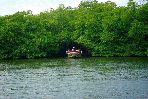 Southern Sri Lanka: Sightseeing Day Trip From Colombo - Accessibility Options
