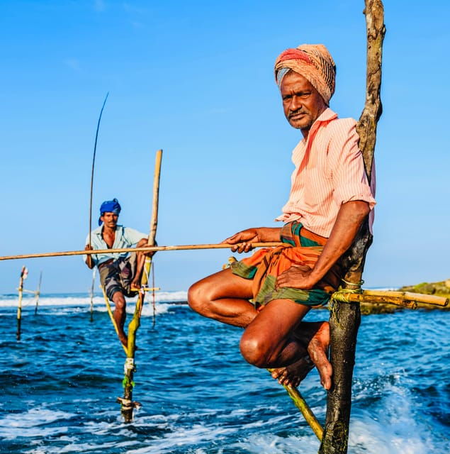 Southern Sri Lanka Sightseeing Private Day Trip From Colombo - Marine Life and Conservation