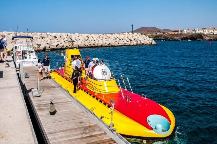 Southern Tenerife: 50-Minute Submarine Dive - Age Requirement