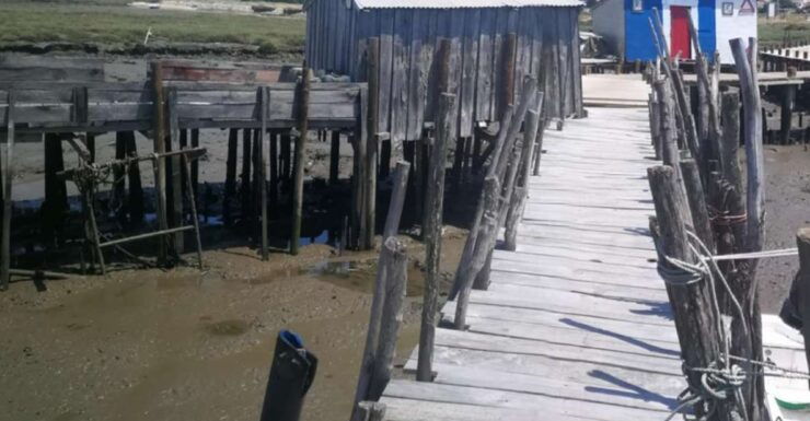 Southwest Alentejo Natural Park With Horse Experience - Horse Riding Experience