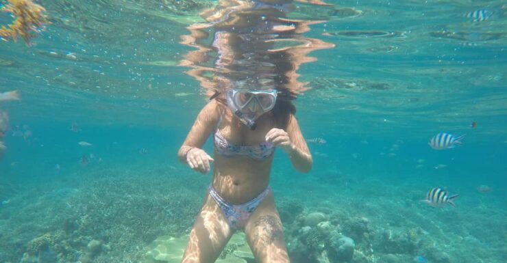 SouthWest Secret Gili,Gili Layar,Gili Gede&Gili Rengit - Key Points
