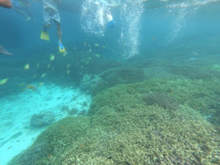 SouthWest Secret Gili,Gili Layar,Gili Gede&Gili Rengit - Itinerary and Activities