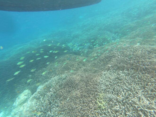 SouthWest Secret Gili,Gili Layar,Gili Gede&Gili Rengit - Inclusions and Exclusions