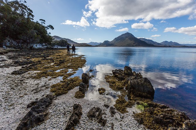 Southwest Tasmania Wilderness Experience: Fly Cruise and Walk Including Lunch - Positive Experiences and Highlights