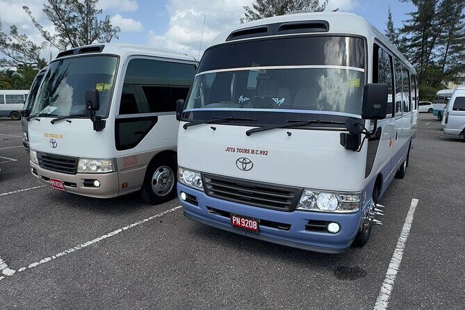 Souvenirs and Gift shopping Tour in Montego Bay - Who Will Love This Tour?