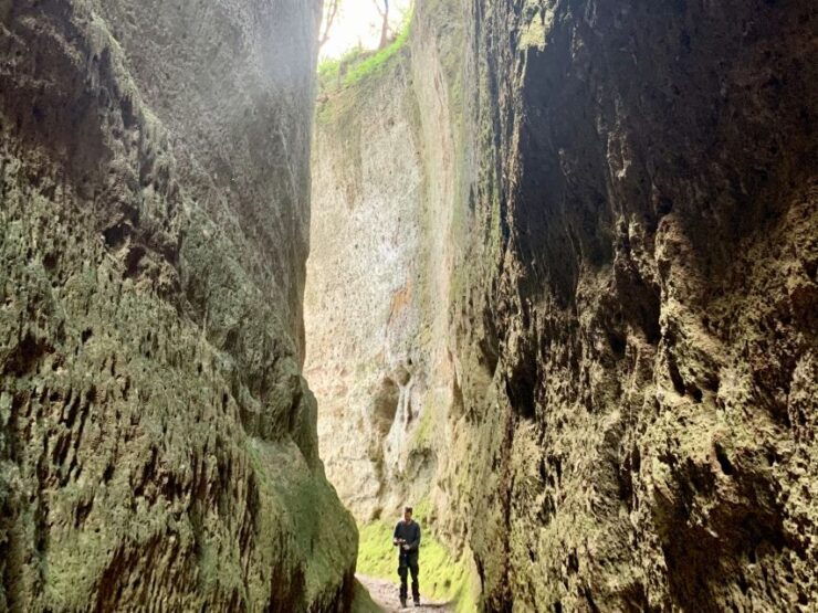 Sovana: Vie Cave & Etruscan Culture Hiking Tour With Tasting - Tour Details