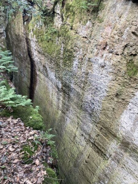 Sovana: Vie Cave & Etruscan Culture Hiking Tour With Tasting - Frequently Asked Questions