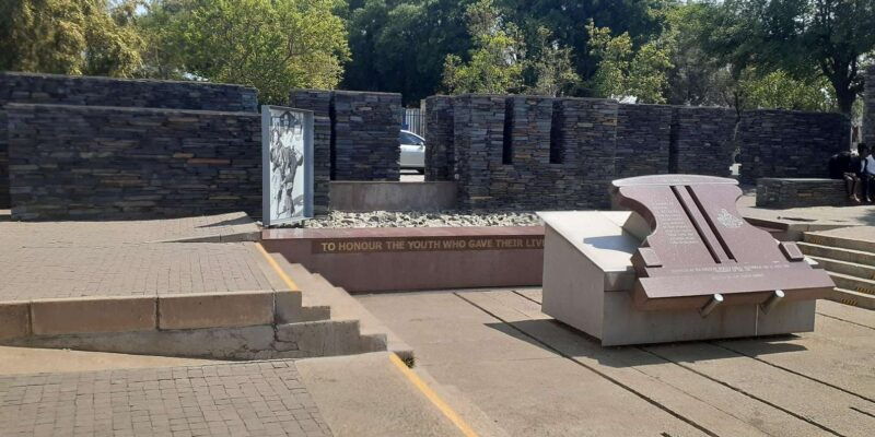 Soweto and apartheid museum tour(Half-day) - Final Thoughts  