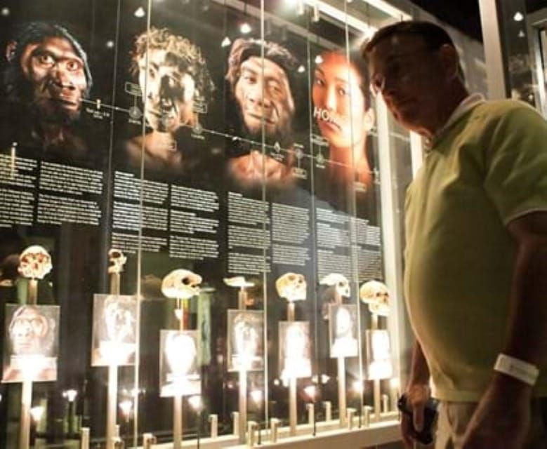 Soweto, Cradle of Mankind, Lions Park & Lesedi Cultural Vill - Good To Know