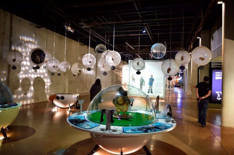 Soweto, Cradle of Mankind, Lions Park & Lesedi Cultural Vill - Who Will Love This Tour?