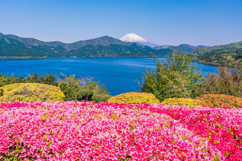 Spacious luxury bus: Mt.Fuji 5th.St & Gotemba&Hakone Trip fromTokyo - What the price covers, and what it does not