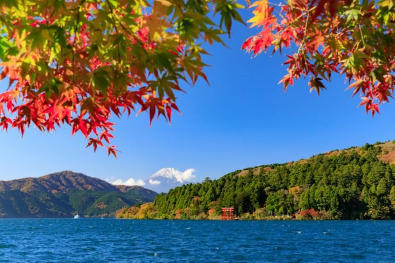 Spacious luxury bus: Mt.Fuji 5th.St & Gotemba&Hakone Trip fromTokyo - Who will enjoy this Fuji and Hakone day trip?