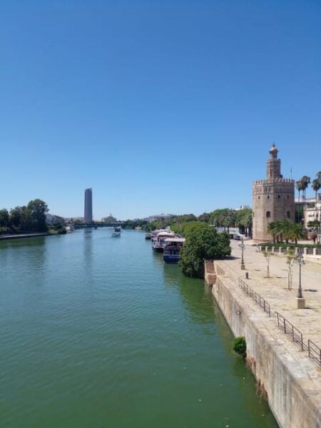 Spain Top Tour (Barcelona, Madrid, Valencia, Malaga, Seville) - Accommodations and Transfers