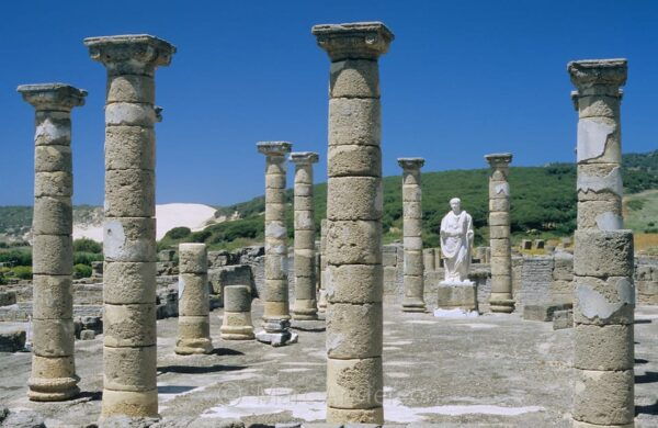 Spains Best Beaches: Day-Trip From Seville - Historical Exploration