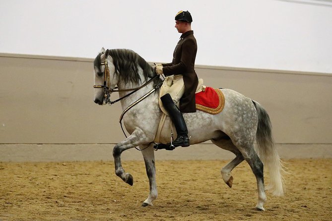 Spanish Riding School Vienna Training Ticket - Tickets Starting From .91
