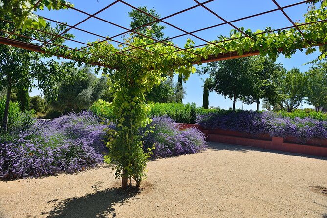 Spanish Traditional Villages & Wineries From Madrid - Bodega Peral in Colmenar De Oreja