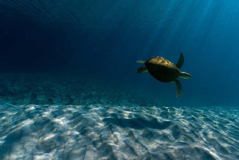 Spanish Wells, Harbour Island, Eleuthera: Private Charters - The Value of a Private, Tailored Bahamas Experience