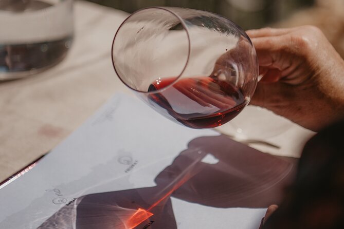Spanish Wine Tasting in the Costa Brava - Sample Menu