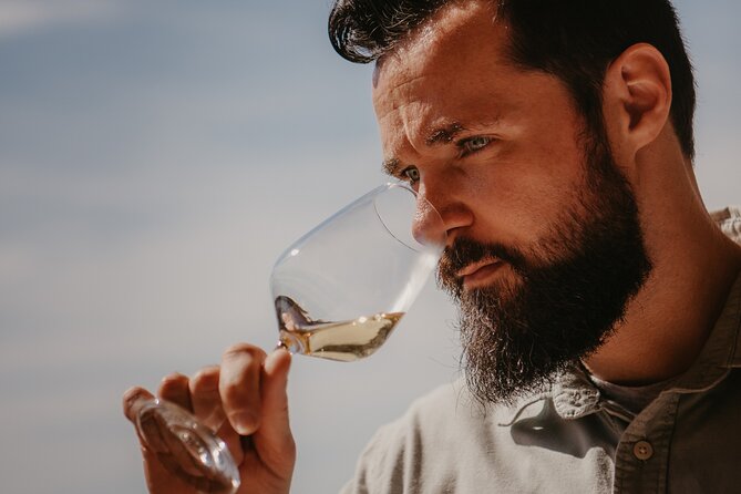 Spanish Wine Tasting in the Costa Brava - Private Transportation