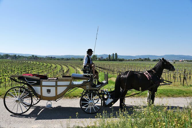 Sparkling carriage ride through Krems and the Wachau vineyards - Sparkling Carriage Ride Through Krems and the Wachau Vineyards: A Romantic Escape
