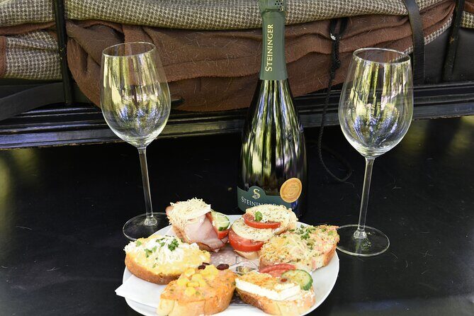 Sparkling carriage ride through Krems and the Wachau vineyards - What to Expect from the Carriage Ride Experience