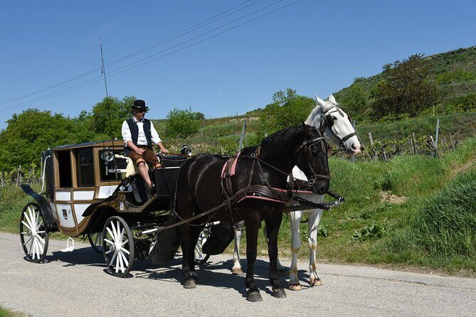 Sparkling carriage ride through Krems and the Wachau vineyards - Practical Details and Considerations