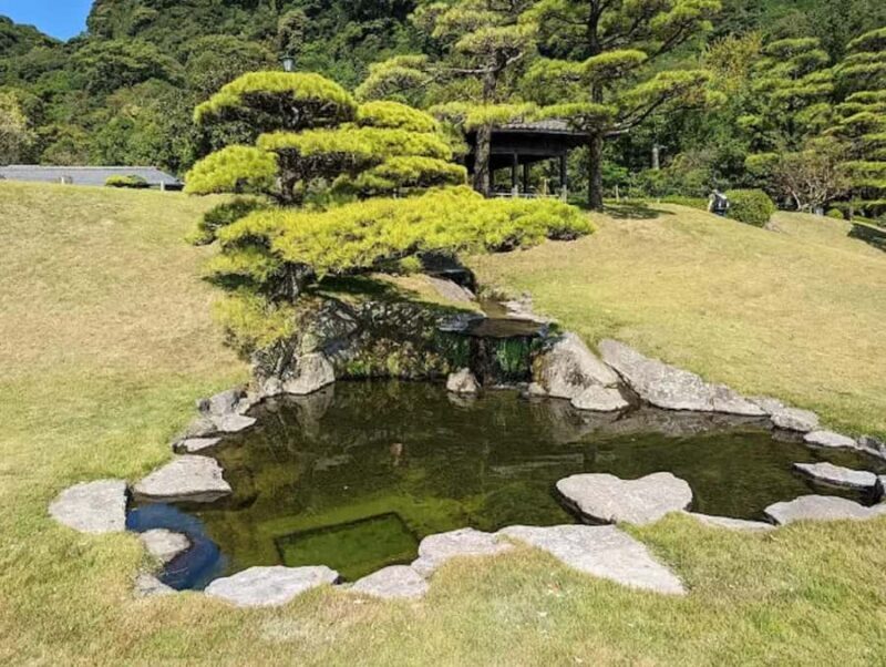 Sparks of Serenity: Discover Kagoshimas Soul Guided Tour - The Final Sight: Shiroyama Observatory