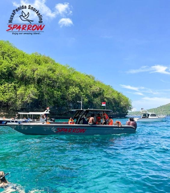 Sparrow Snorkeling - Good To Know