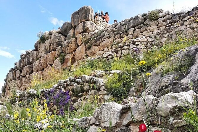 Sparta and Mystras Full-Day Private Tour With Wi-Fi  - Athens - Cancellation Policy