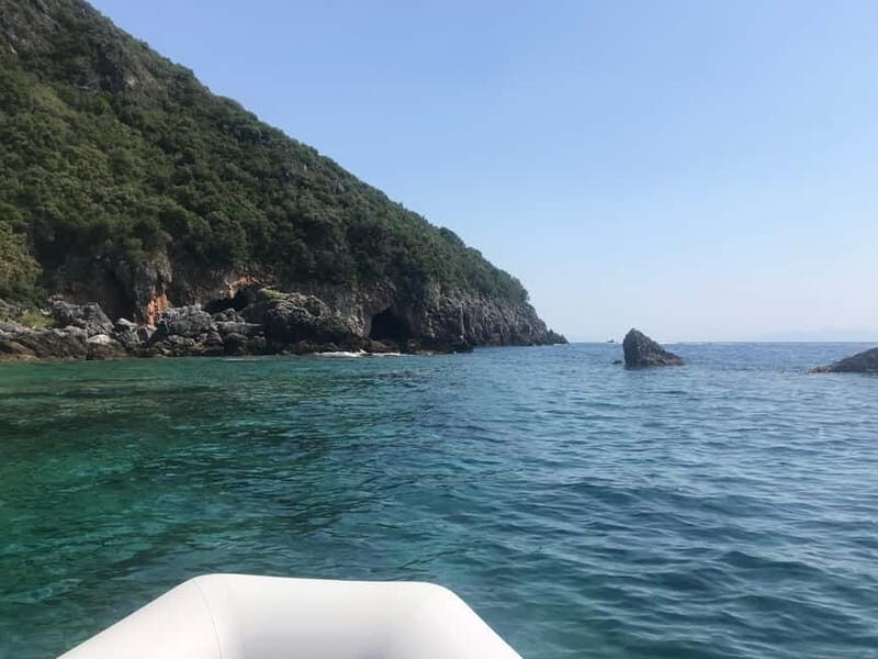 Spearfishing Fishing Tour with Seafood Lunch at the Beach - Good To Know