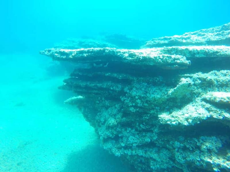 Spearfishing Fishing Tour with Seafood Lunch at the Beach - FAQ: Your Questions Answered