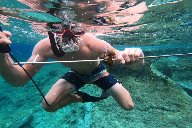 Spearfishing in Chania, Crete (Price Is per Group) - Select Date and Travelers