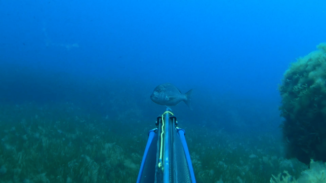 Spearfishing Trip on Private Yacht - What to Bring