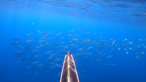 Spearfishing Trip on Private Yacht - Preparing for the Adventure