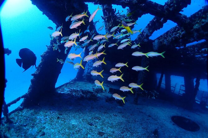 Special!! 2 Tank Wreck & Drift Reef Dives - Directions
