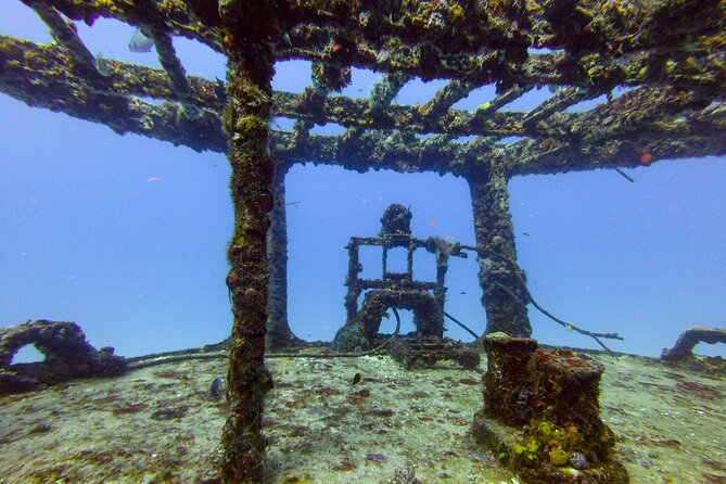 Special!! 2 Tank Wreck & Drift Reef Dives - The Sum Up