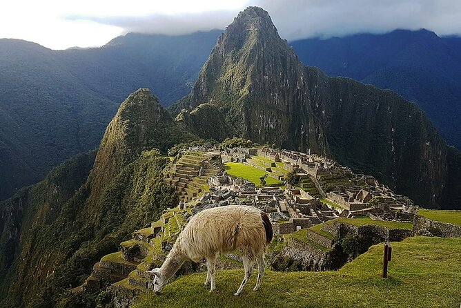 Special 5-Day Machu Picchu and Highlights of Cusco - Day 1: Arrival in Cusco