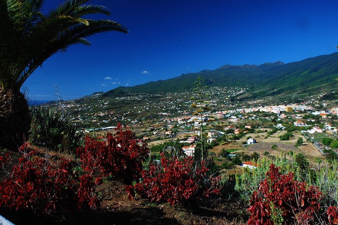Special Cruise Tour Center and South La Palma (Price per Car Not per Person) - What To Expect