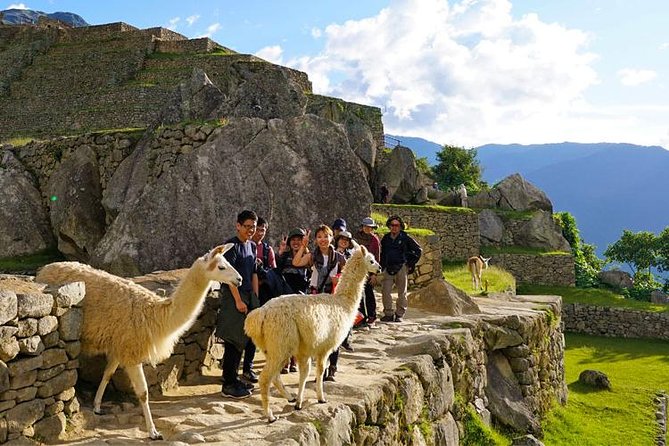 Special - Cusco City Tour - Private Experience - Benefits of a Private Cusco City Tour
