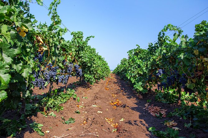 Special History And Wine Tour - Historic Landmarks on the Tour