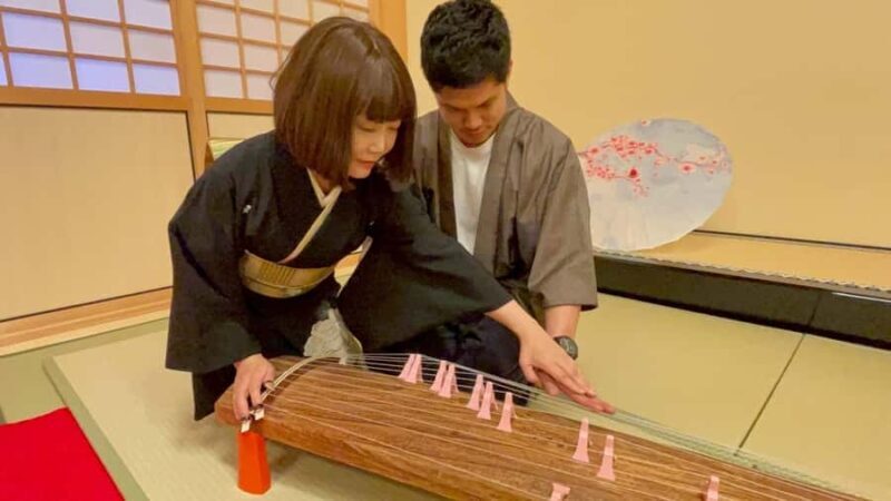 Special Japanese Culture Concert at Nagoya Noh Theater - Who Will Really Appreciate This Tour?