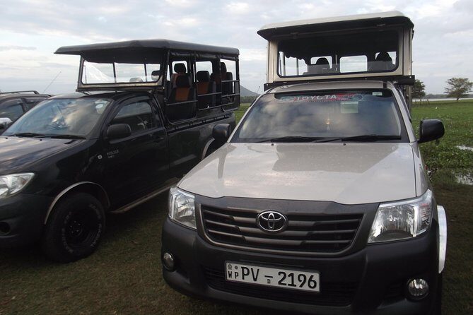 Special Leopards safari - Yala National park - 04.30 am to 11.30 am - Good To Know